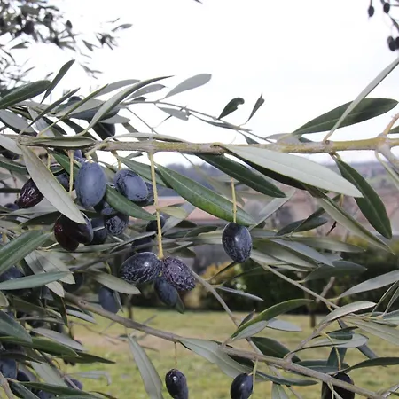 Maison Super Calme Et Confortable - Idealement Situee - Clim - Vue Montagnes - Piscine Partagee - Parking Gratuit - Lou Tranquillou Дом отдыха Sauzet (Drome)