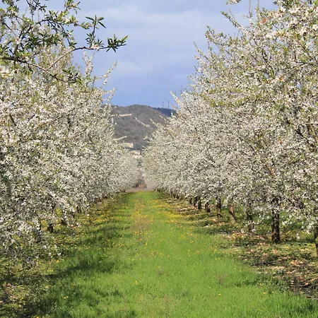 Maison Super Calme Et Confortable - Idealement Situee - Clim - Vue Montagnes - Piscine Partagee - Parking Gratuit - Lou Tranquillou Дом отдыха
