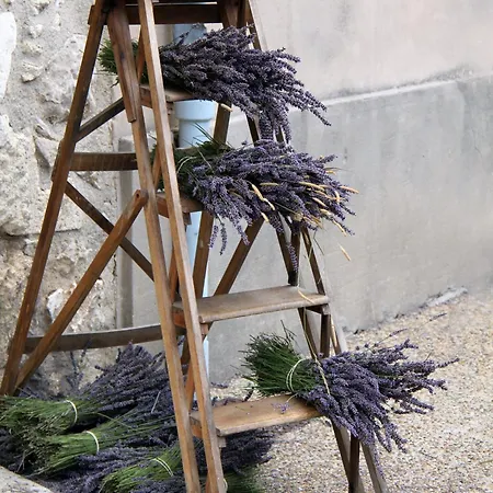 Maison Super Calme Et Confortable - Idealement Situee - Clim - Vue Montagnes - Piscine Partagee - Parking Gratuit - Lou Tranquillou * Sauzet (Drome)