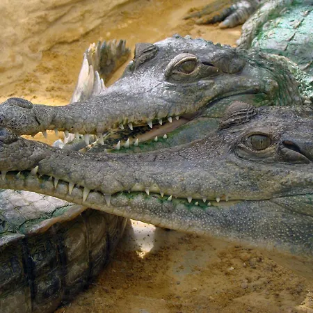 Дом отдыха Maison Super Calme Et Confortable - Idealement Situee - Clim - Vue Montagnes - Piscine Partagee - Parking Gratuit - Lou Tranquillou